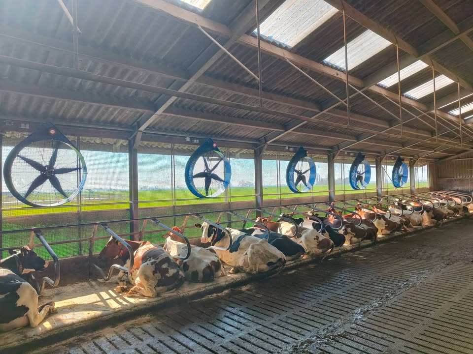  De zomer is op komst!      De