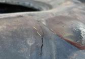 Taurus 800/65R32 50 MM 95 %