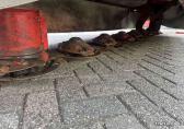Lely 320 M Achter-maaier