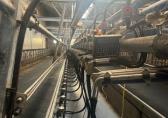 DeLaval DELAVAL Swingover 2x20